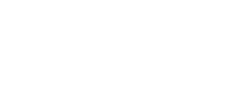 wiru_vili_logo